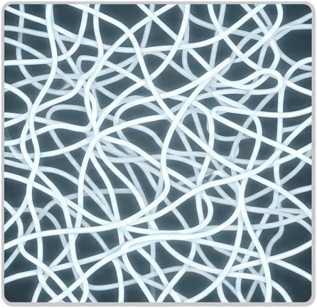 The Protein Web: Toughness vs. Feeling Soft