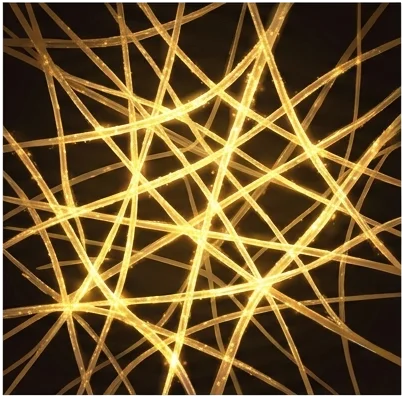 The Science of Protein and the Net